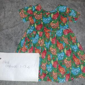 Bamboo Chicken Dress